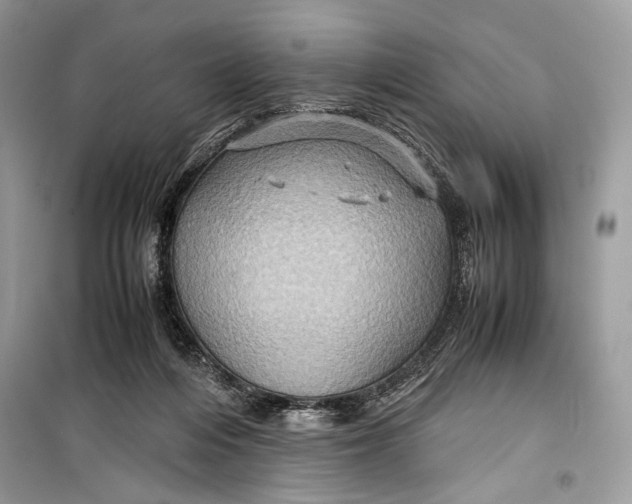 X0000099290216200805231327