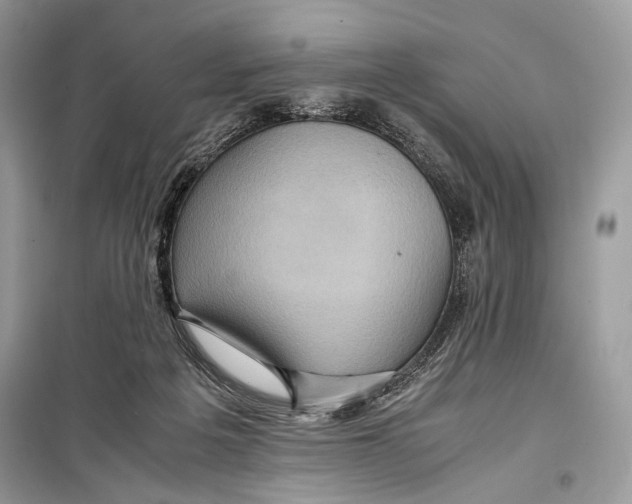 X0000099290217200805231327