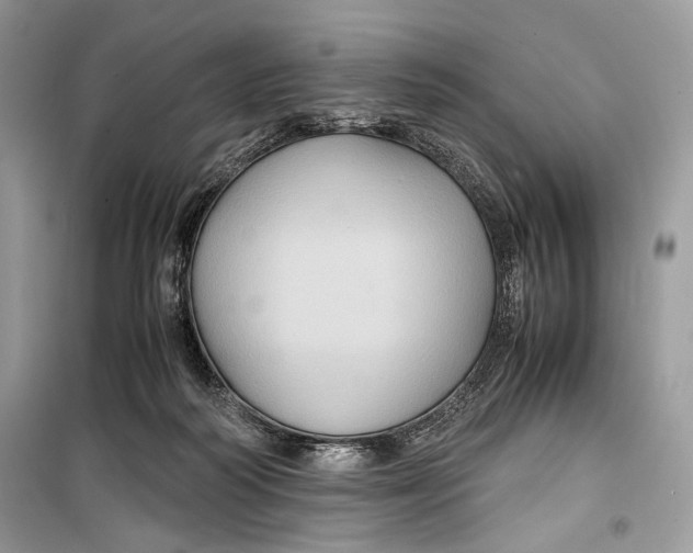 X0000099290218200805231327