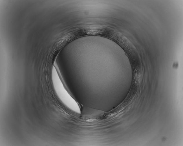 X0000099290219200805231327