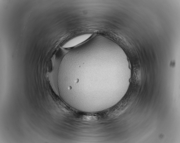 X0000099290220200805231327