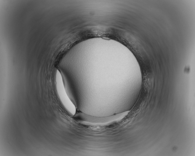 X0000099290221200805231327