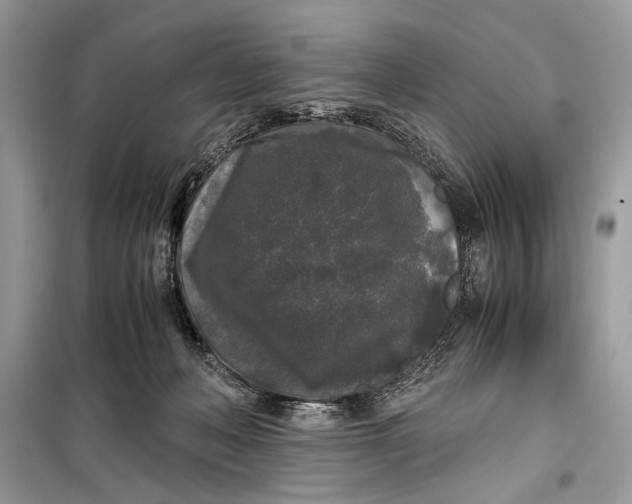 X0000099290222200805231327