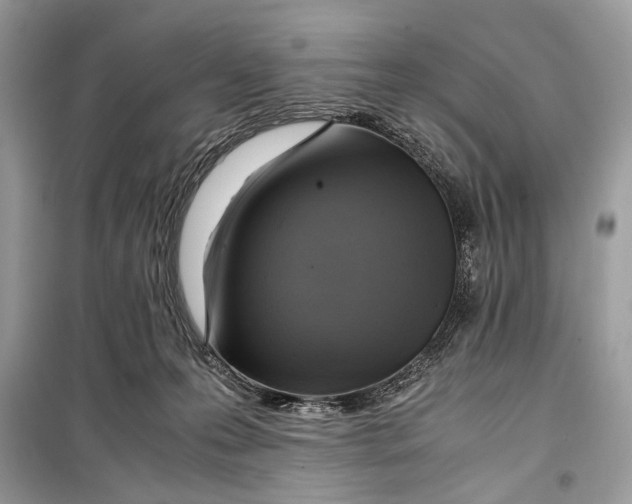 X0000099290223200805231327