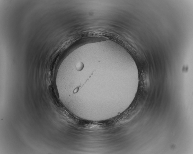 X0000099290224200805231327