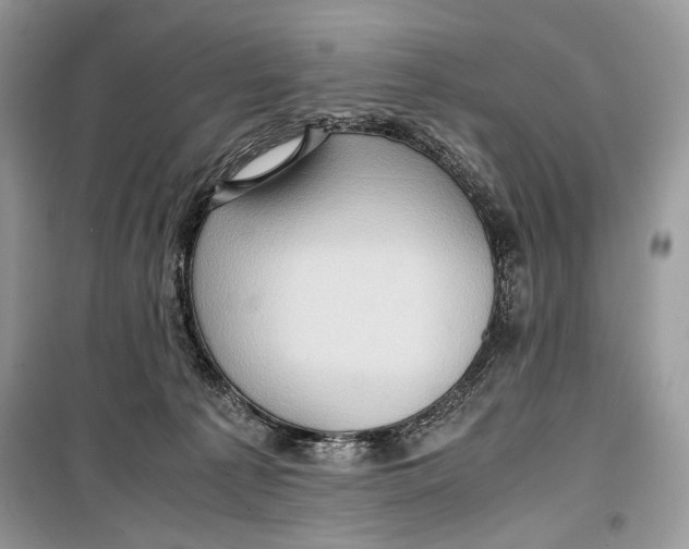 X0000099290225200805231327