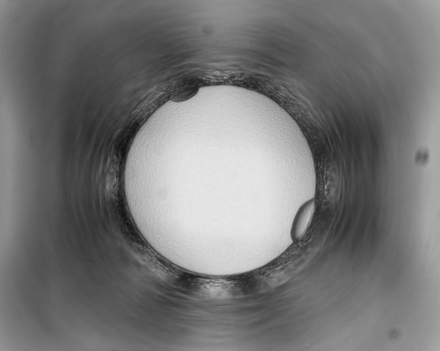 X0000099290226200805231327