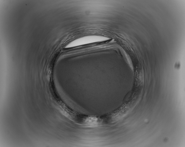 X0000099290227200805231327