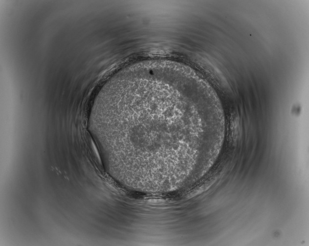 X0000099290228200805231327