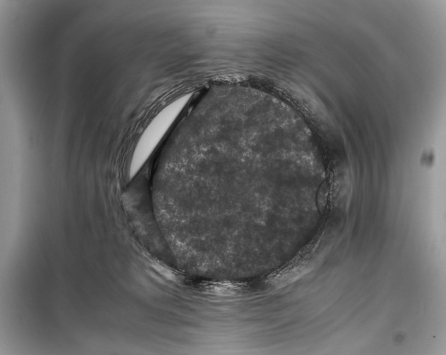 X0000099290229200805231327