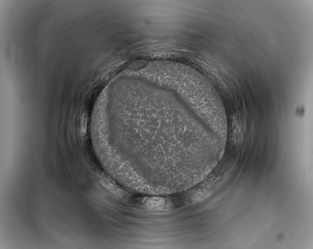 X0000099290230200805231327