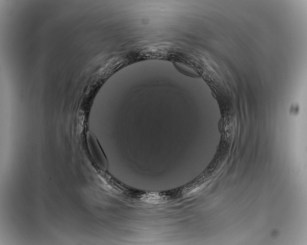 X0000099290231200805231327