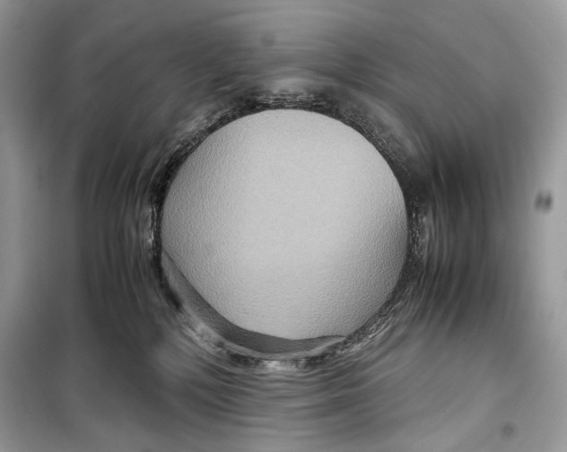 X0000099290232200805231327