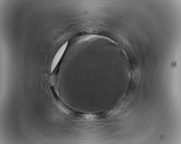 X0000099290233200805231327