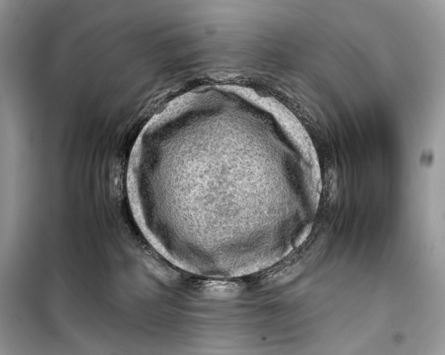 X0000099290234200805231327