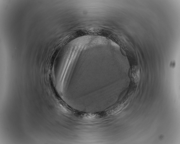 X0000099290235200805231327