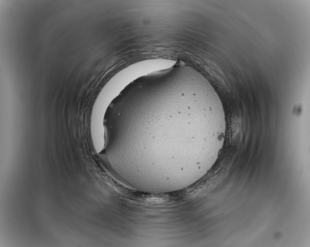 X0000099290236200805231327