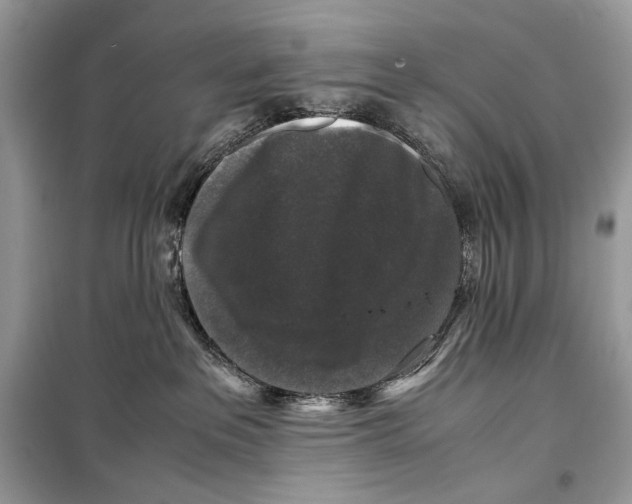 X0000099290237200805231327