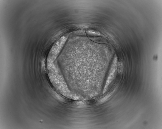 X0000099290238200805231327