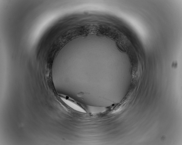 X0000099290239200805231327