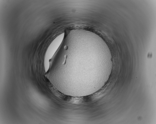 X0000099290240200805231327