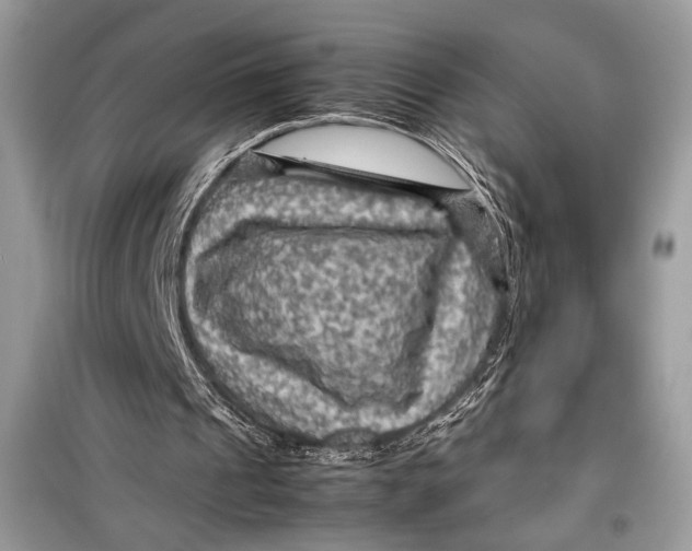 X0000099290241200805231326