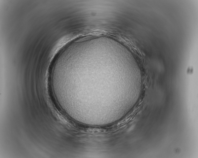 X0000099290242200805231326