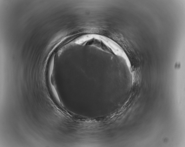 X0000099290243200805231326