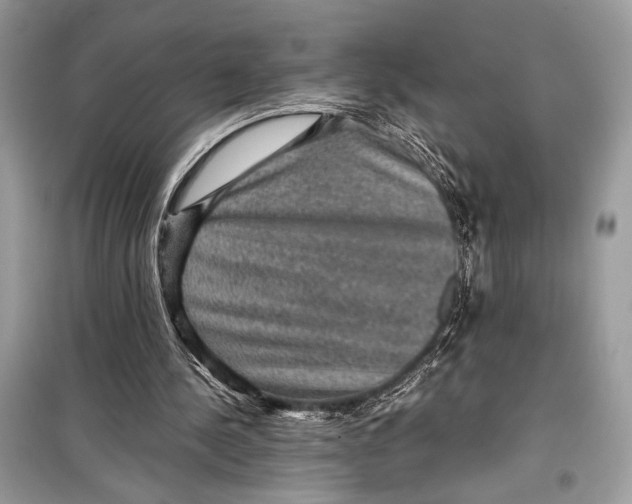 X0000099290244200805231327