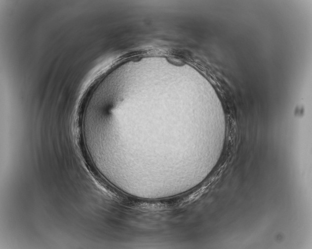 X0000099290245200805231327