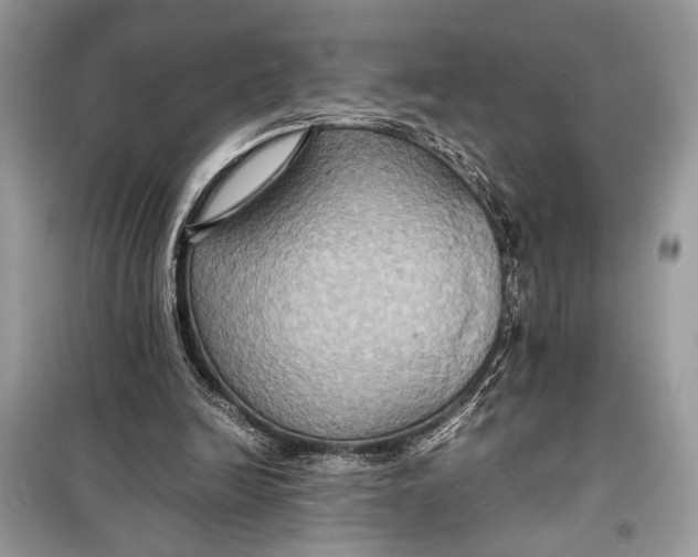 X0000099290246200805231327