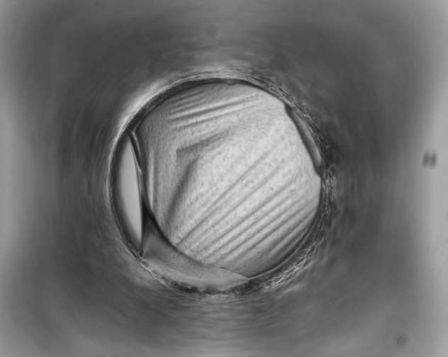 X0000099290248200805231327