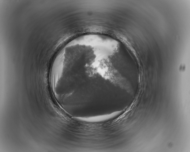 X0000099290249200805231327