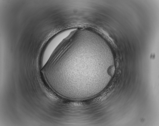 X0000099290250200805231327