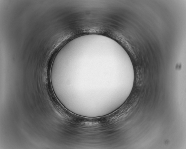 X0000099290251200805231327