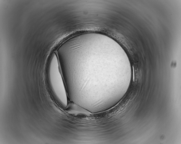 X0000099290252200805231327