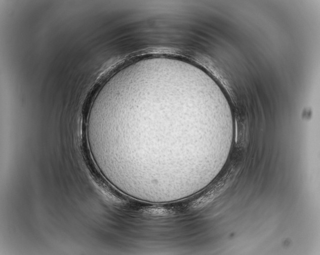 X0000099290253200805231327