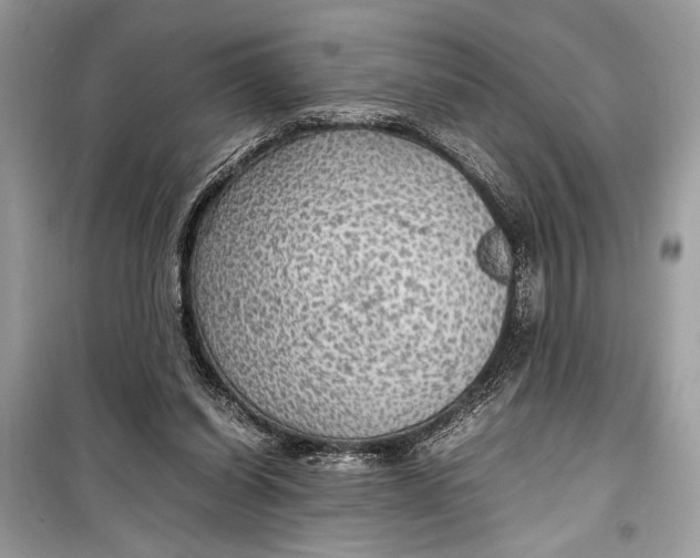 X0000099290254200805231327