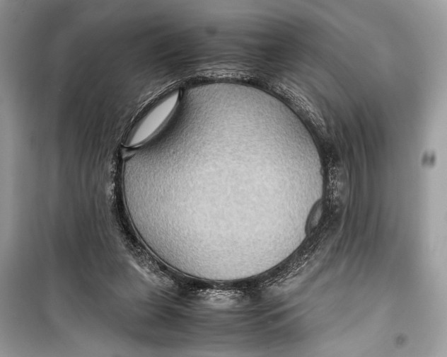 X0000099290255200805231327