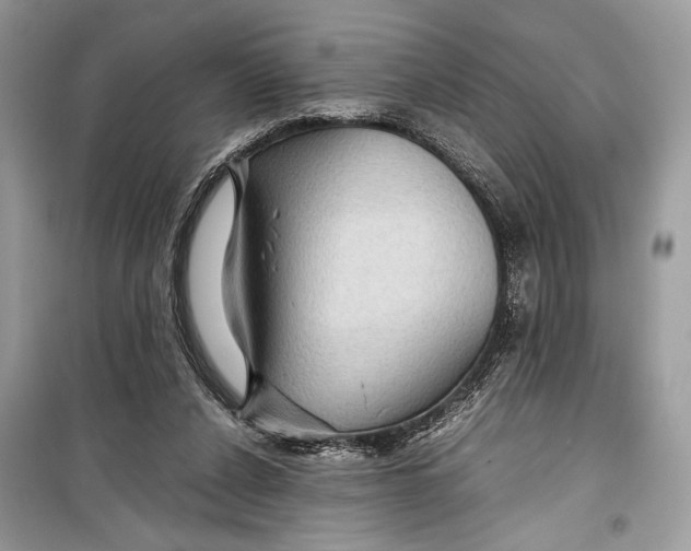 X0000099290256200805231327