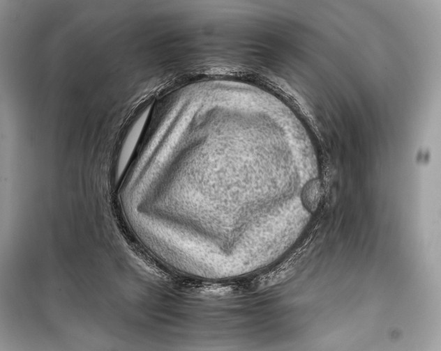 X0000099290257200805231327