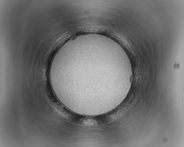 X0000099290258200805231327