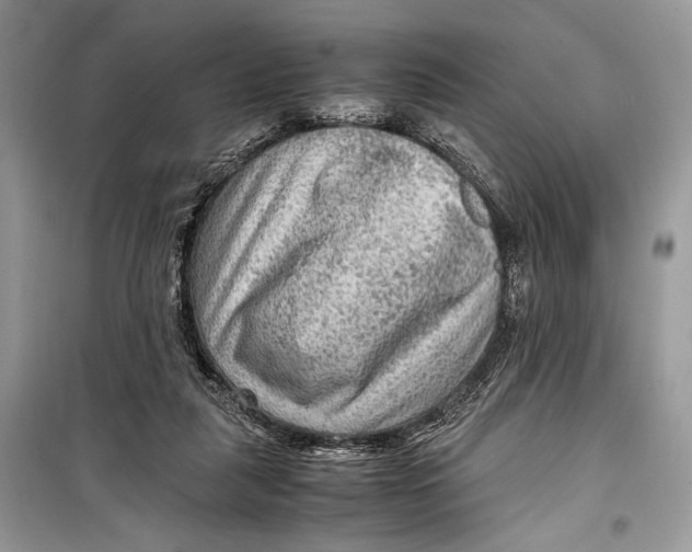 X0000099290259200805231327