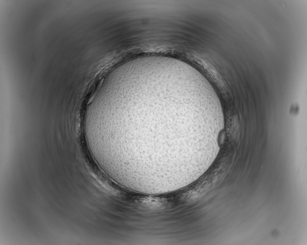 X0000099290261200805231327