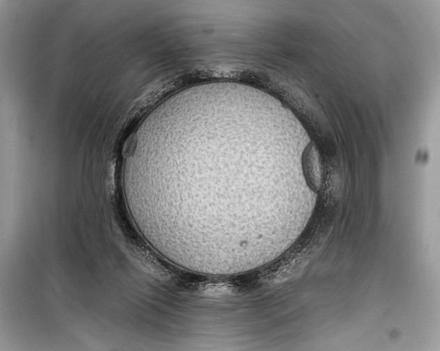 X0000099290262200805231327