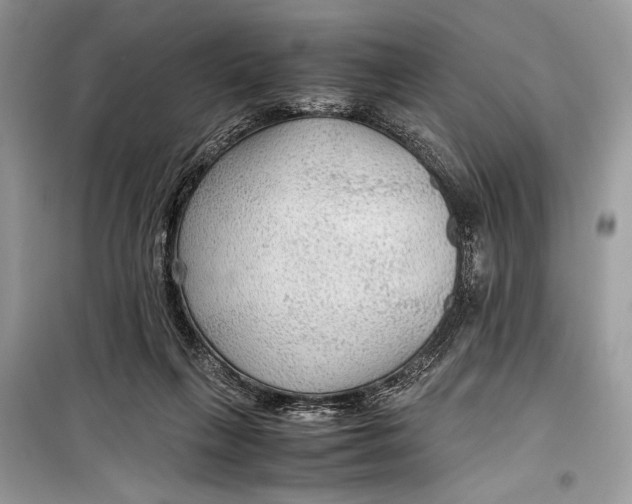 X0000099290263200805231327