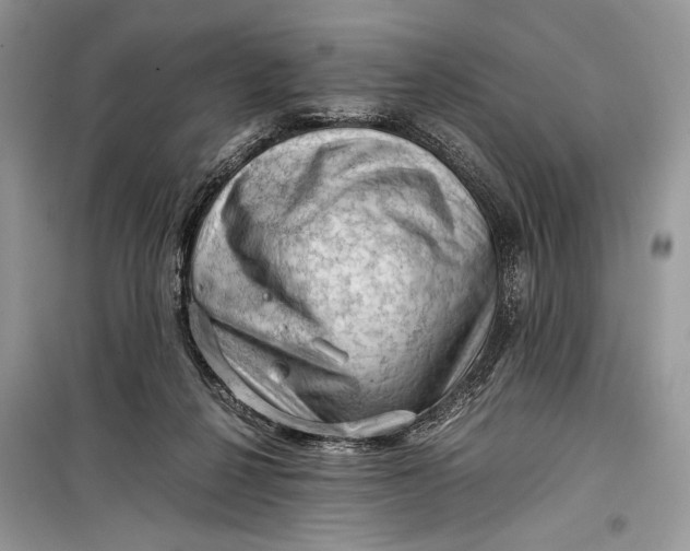 X0000099290264200805231327