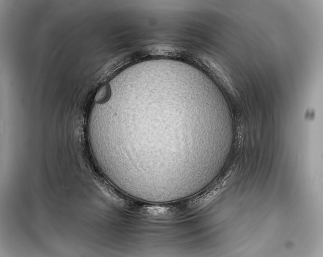 X0000099290265200805231327