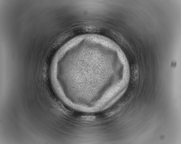 X0000099290266200805231327