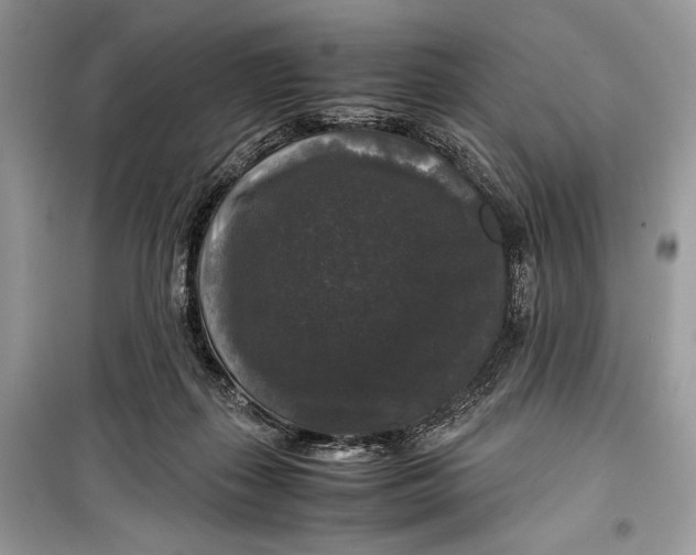 X0000099290267200805231327